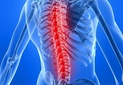 Omuz ve Sırt Ağrısı Belirtileri ve Tedavisi Omuz ve Sırt Ağrısı Belirtileri ve Tedavisi