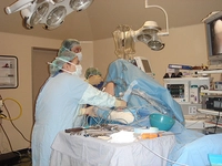 Omuz Çıkığı Ameliyatı Riskleri ve Sonrası Omuz Çıkığı Ameliyatı Riskleri ve Sonrası